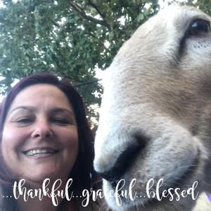 Meet your Posher, Joy